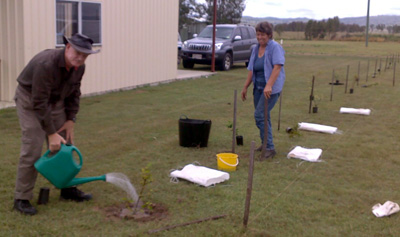 QUA Members Planting Trees